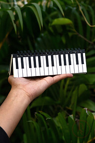 Piano Spiral Notebook (SN202511199)