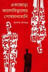 একজোড়া কালোবিড়ালের পোষমানামানি