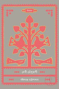দেবী চৌধুরাণী