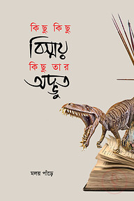 কিছু কিছু বিস্ময় কিছু তার অদ্ভুত