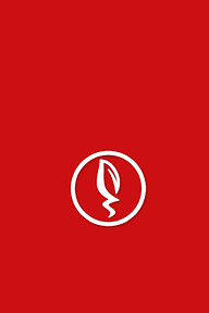 ধোপাঘাটা ব্রিজ