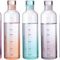 Borosilicate Glass Water Bottle – 500ml