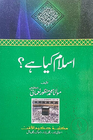 ইসলাম কেয়া হ্যায়