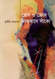 রোদ ও ক্রোধ মাঝখানে সাঁকো