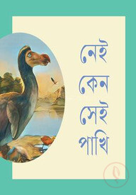 নেই কেন সেই পাখি