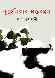 কুহেলিকার অন্তরালে