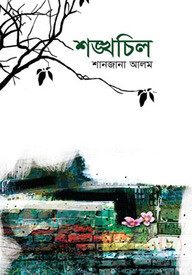শঙ্খচিল