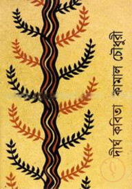 দীর্ঘ কবিতা