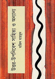 উত্তর-উপনিবেশ সাহিত্য ও অন্যান্য