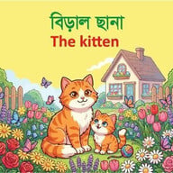 বিড়াল ছানা 