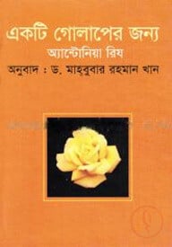 একটি গোলাপের জন্য