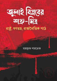 জুলাই বিপ্লবের শত্রু-মিত্র রাষ্ট্র, গণতন্ত্র, রাজনৈতিক পাঠ