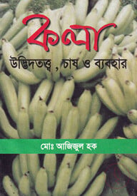 কলা উদ্ভিদতত্ত্ব, চাষ ও ব্যবহার