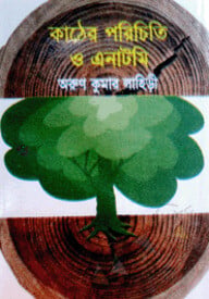 বাশের পরিচিতি ও এনাটমি