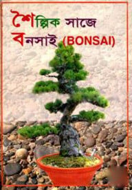 শৈল্পিক সাজে বনসাই