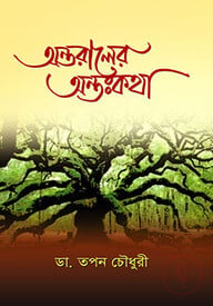 অন্তরালের অন্তঃকথা