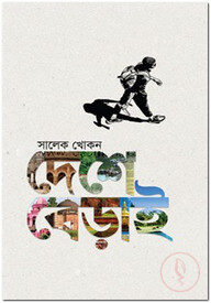 দেশে বেড়াই