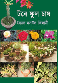 টবে ফুল চাষের সহজ উপায়