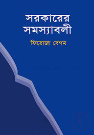 সরকারের সমস্যাবলী