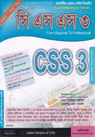 সিএসএস-৩