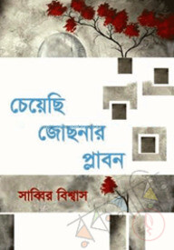 চেয়েছি জোছনার প্লাবন