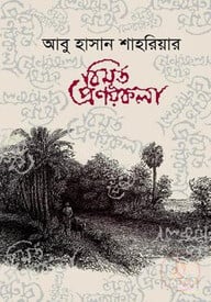 বিমূর্ত প্রণয়কলা