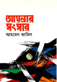 আয়নার সংসার