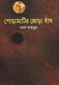 পোড়ামাটির জোরা হাঁস