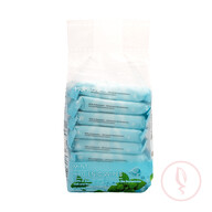 Hygienic Wipes (Mint/8 Packs)
