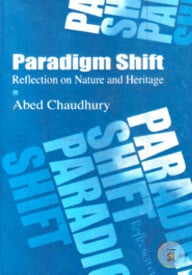 Paradigm Shift